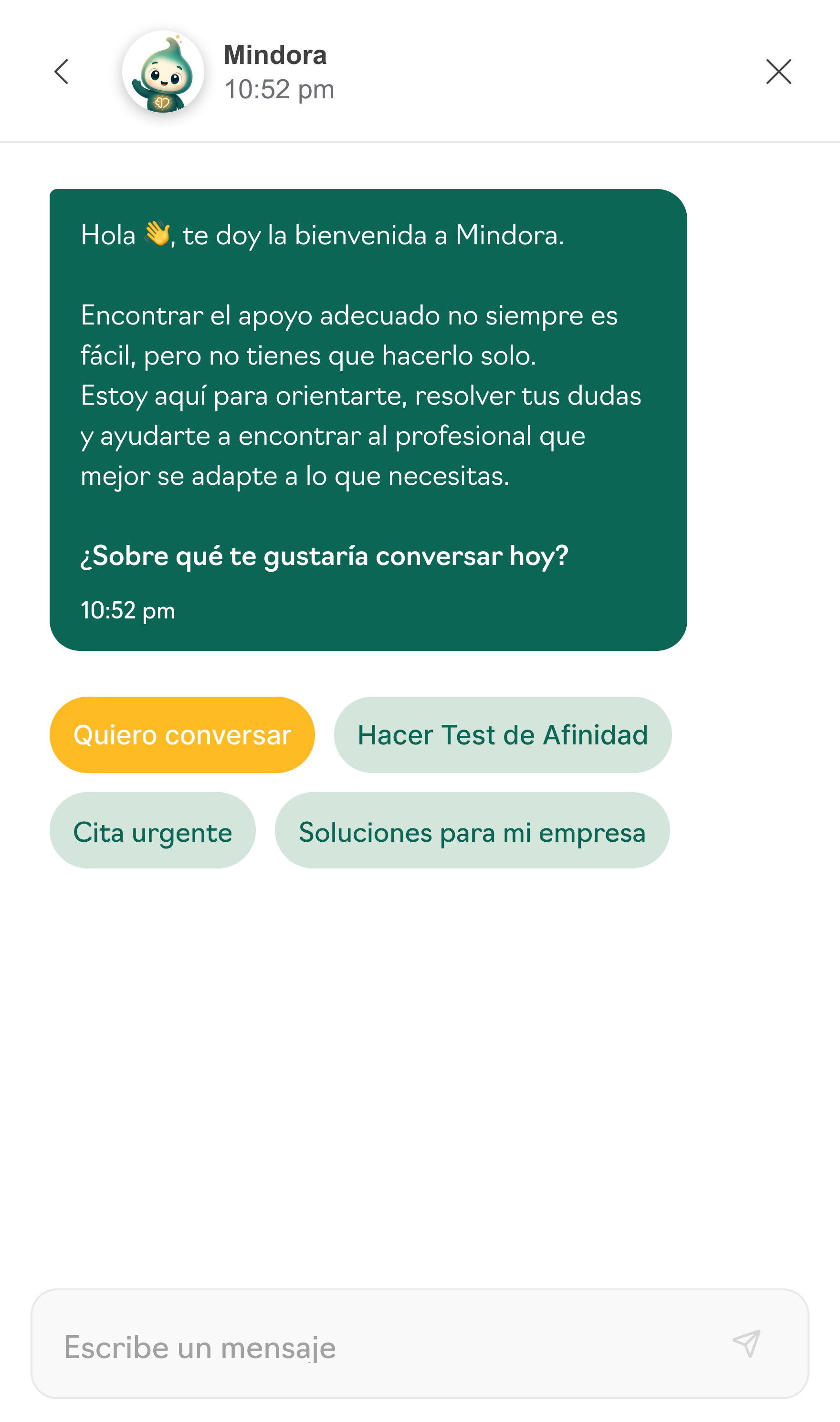 Mindora: conversación con el asistente